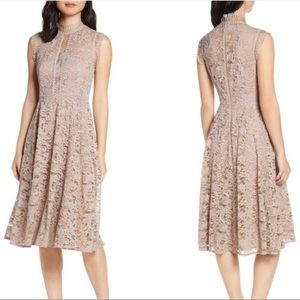 Eliza J. Beautiful mauve lace fit & flare dress
